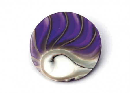 Nautilus Purple